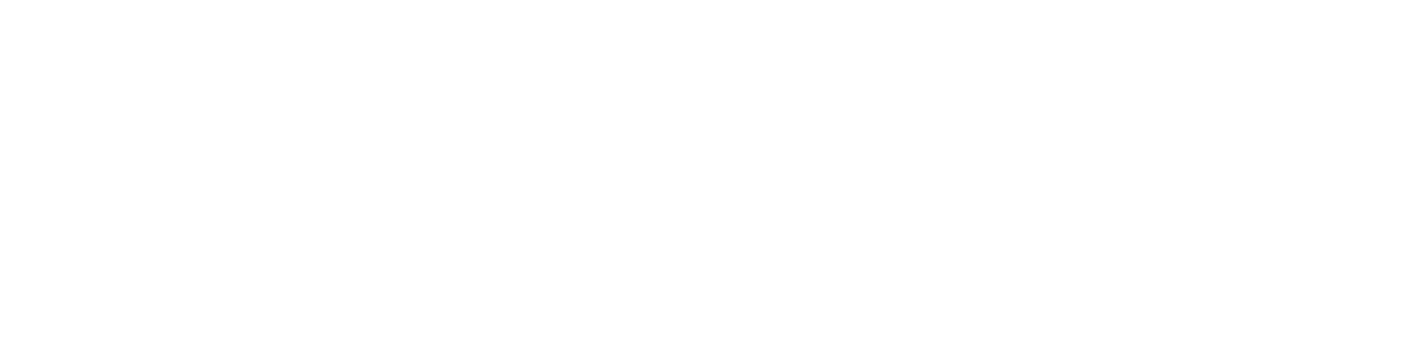 STARFORT Group Logo
